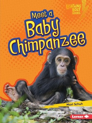 cover image of Meet a Baby Chimpanzee